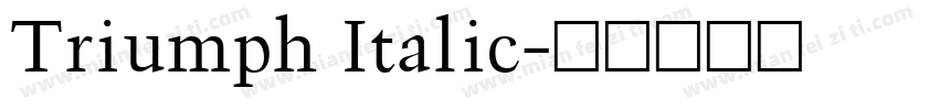 Triumph Italic字体转换